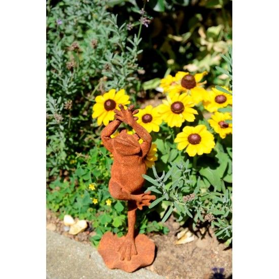 Frosch - Caro - Yoga