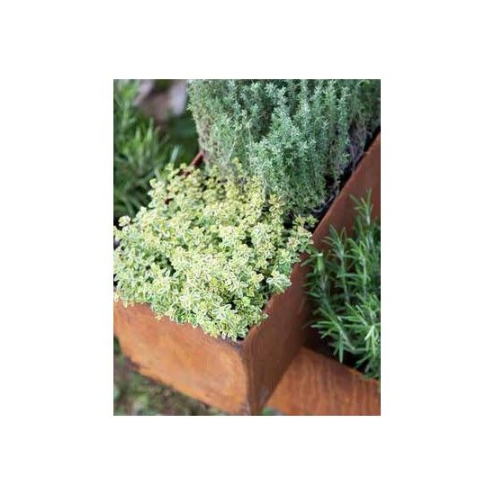 Blumentöpfe - Pflanztöpfe in Edelrost Pflanztopf - Brick -  aus 2mm Stahl mit leicht erhöhtem Boden  - Länge 80 cm 
Höhe 15 cm
