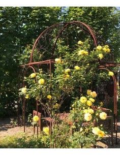 Pavillon und Kiosk Rank-Pavillon Metall Oase mit Kuppel 2,5 x 2,5 x 3,5 m Wie in einer OASE im Grünen ist dieser Rankpavillon au