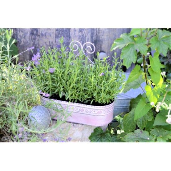 Pflanzgefäße + Schalen + Kronen Wandtopf - Aliena - 2er Set - antik rosa - 31 cm hoch Set bestehend aus 2 Teilen in Antikem rosa