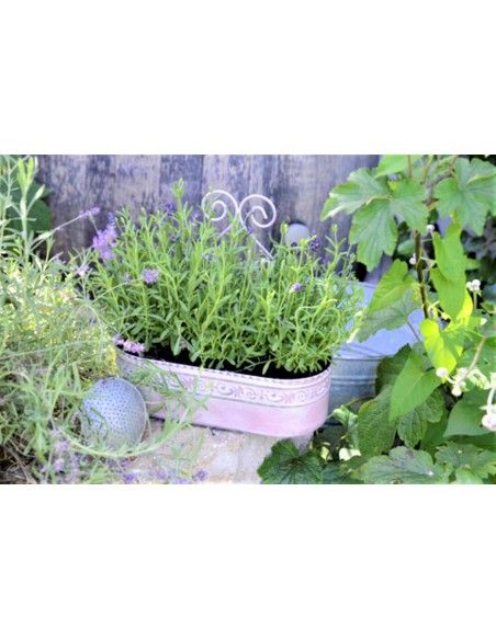 Pflanzgefäße + Schalen + Kronen Wandtopf - Aliena - 2er Set - antik rosa - 31 cm hoch Set bestehend aus 2 Teilen in Antikem rosa