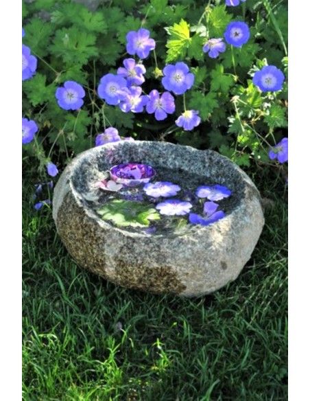 Stein Vogeltränke aus Stein -Steinschale - 30 cm Ø - ca. 19 kg schwer Eine kleine Steinschale aus echtem Natur Stein bietet klei