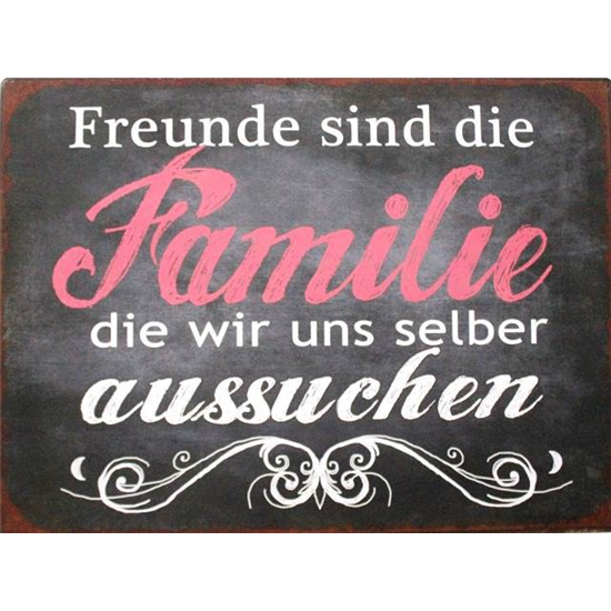 Freunde sind die Familie die wir uns selber aussuchen - Familie Sprüche 35 cm