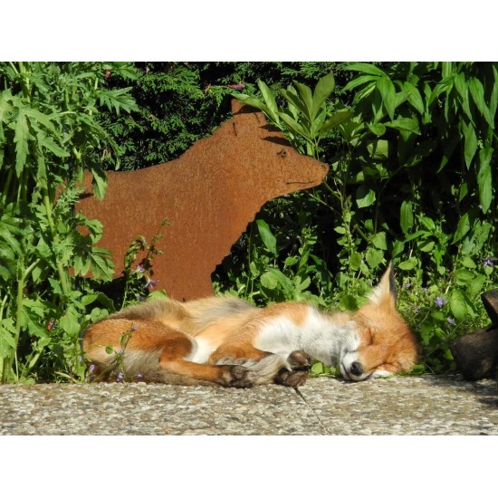 Gartendeko Rost Edelrost Deko Fuchs lebensgroß - 100 cm lang 
Dieser Fuchs ist eine lebensgroße Dekofigur aus Metall mit Rostpa