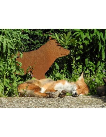 Gartendeko Rost Edelrost Deko Fuchs lebensgroß - 100 cm lang 
Dieser Fuchs ist eine lebensgroße Dekofigur aus Metall mit Rostpa