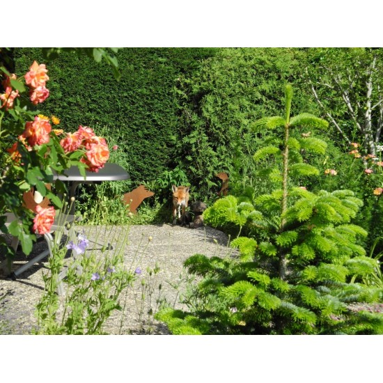 Gartendeko Rost Edelrost Deko Fuchs lebensgroß - 100 cm lang 
Dieser Fuchs ist eine lebensgroße Dekofigur aus Metall mit Rostpa