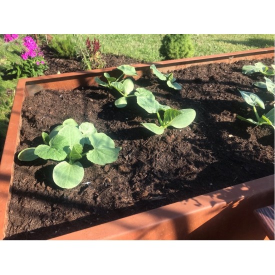 Hochbeet Metall Hochbeet Metall 200 cm lang 80 hoch Tiefe 70 cm Ein Metall Hochbeet mit 2 Meter Länge...
für viel eigenes Gemüs