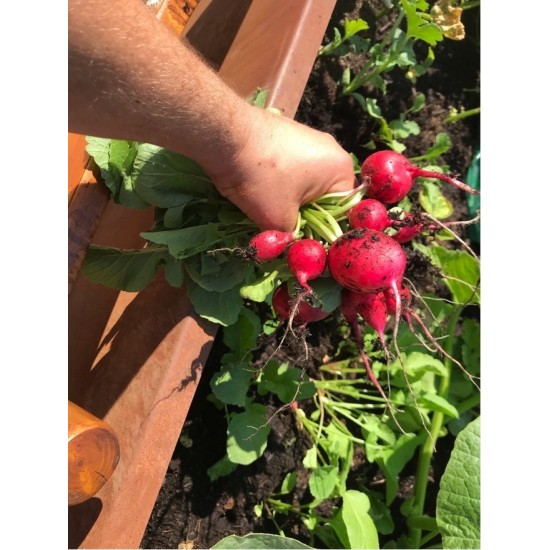 Hochbeet Metall Hochbeet Metall 200 cm lang 80 hoch Tiefe 70 cm Ein Metall Hochbeet mit 2 Meter Länge...
für viel eigenes Gemüs