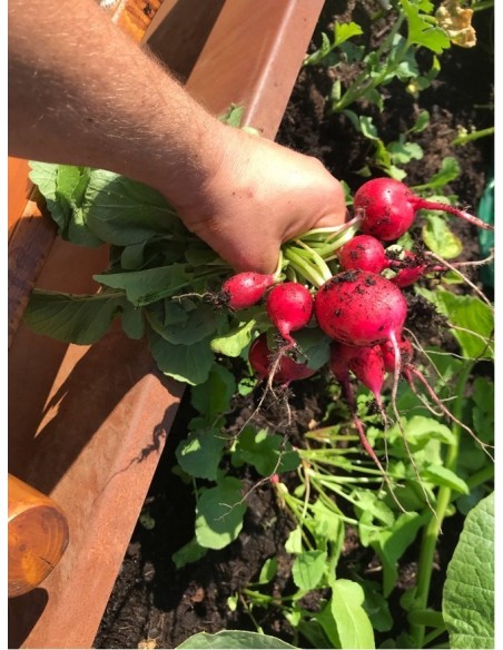 Hochbeet Metall Hochbeet Metall 200 cm lang 80 hoch Tiefe 70 cm Ein Metall Hochbeet mit 2 Meter Länge...
für viel eigenes Gemüs