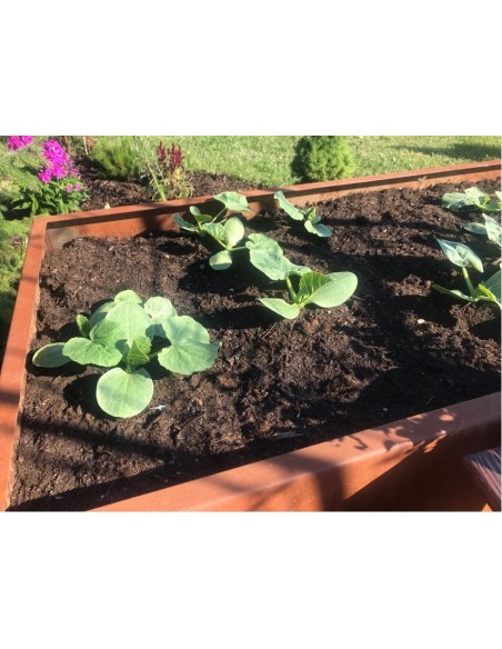 Hochbeet Metall Hochbeet Metall 150 cm lang 80 hoch Tiefe 70 cm stabiles Metall Hochbeet 1,5 Meter Länge...
für viel eigenes Ge