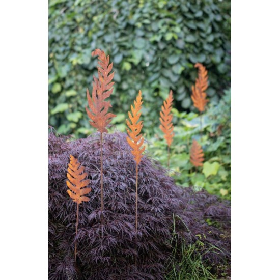 Start Edelrost Gartenstecker Farn - 26 cm hoch - klein 
Höhe 26 cm
Breite 14 cm
zzgl. Stab 80 cm
