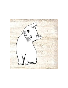 Deko Katzen und Mäuse Hier wohnt eine Katze mit seiner Familie - Lustiger Spruch für Katzenliebhaber 30 cm Breit Blechschild 
L 2