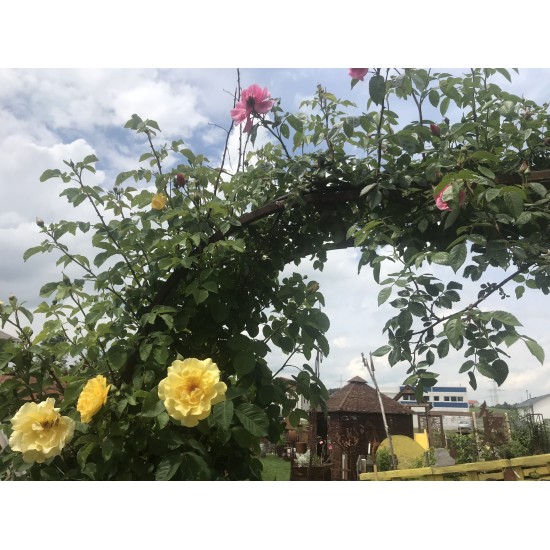 Rosenbögen und Rankhilfen Rost Rosenbogen pur - Bogen B Höhe 65 cm x Breite 50 cm x Tiefe 44 cm Mit unserem Rosenbogen Bausatz z