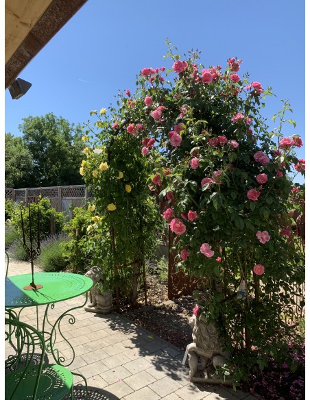 Rosenbögen und Rankhilfen Rost Rosenbogen pur - Bogen B Höhe 65 cm x Breite 50 cm x Tiefe 44 cm Mit unserem Rosenbogen Bausatz z