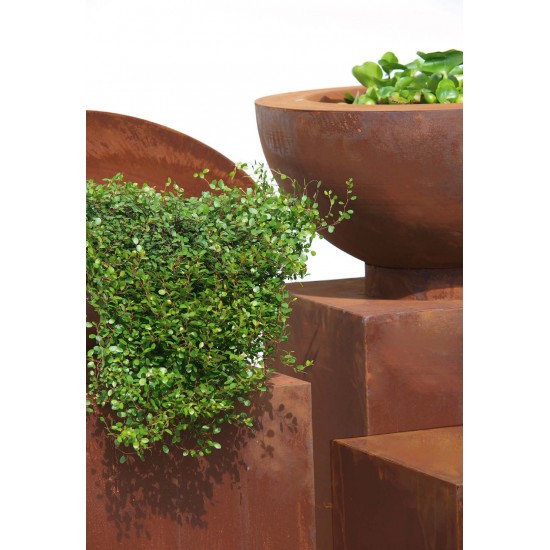 Gartendeko Rost Doppelwandige Rost Schale mit angeschweißtem Standring - Durchmesser 60 cm 
Durchmesser 60 cm
