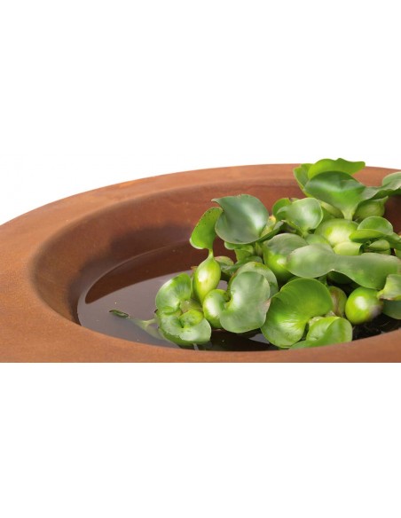 Gartendeko Rost Doppelwandige Rost Schale mit angeschweißtem Standring - Durchmesser 50 cm 
Durchmesser 50 cm

