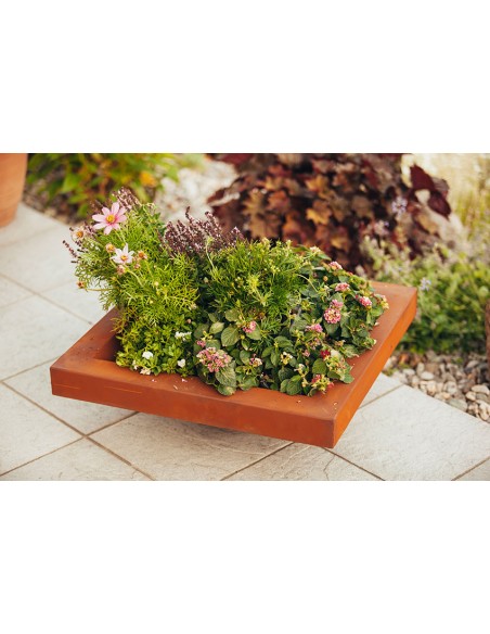 Schale 3D - Höhe 19 cm