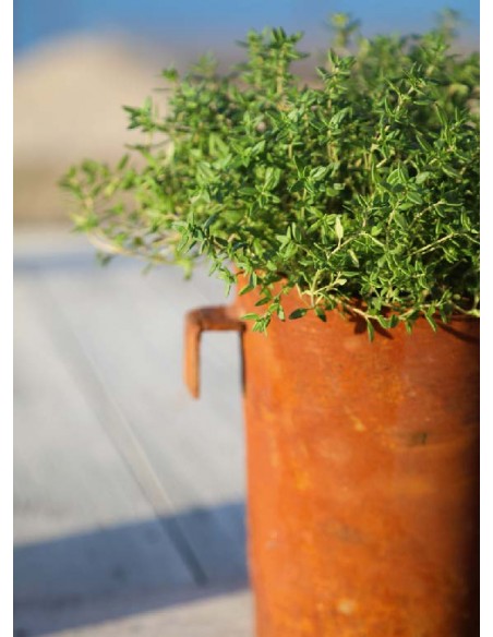 Pflanzgefäße + Schalen + Kronen Topf mit Haken für Paravent - groß - 17 cm hoch Pflanztöpfe zum Einhängen in ein Paravent.

Hö