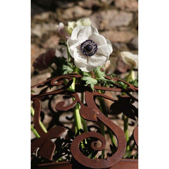 Halbkugeln  Barock-Halbkugel mit Ring - Ø 50 cm Ø 50 cm
mit angeschweißtem Ring an der Innenseite der Öffnung
passt genau auf 