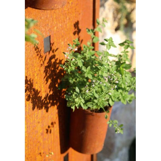 Gartendeko Rost Edelrost Sichschutzwand mit eckigen Öffnungen für Töpfe - Höhe 200 cm, Breite 60 cm 
Höhe 200 cm
Breite 60 cm
