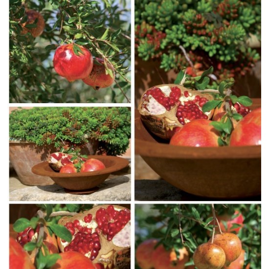 runde Pflanzschalen Runde Rost Deko Pflanzschale 60 cm mit Rand 9 cm - wasserdicht 

Runde rostige Deko Pflanzschale mit Rand
