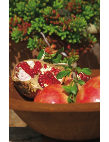 runde Pflanzschalen Runde Rost Deko Pflanzschale 60 cm mit Rand 9 cm - wasserdicht 
Diese runde Rostdeko Pflanzschale mit 60 cm