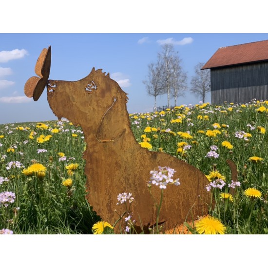 Deko Hunde Hundefigur Rauhaardackel - Toni - mit Schmetterling auf der Nase - sitzend - Höhe 45 cm 
Höhe 45 cm
Breit 55 cm

