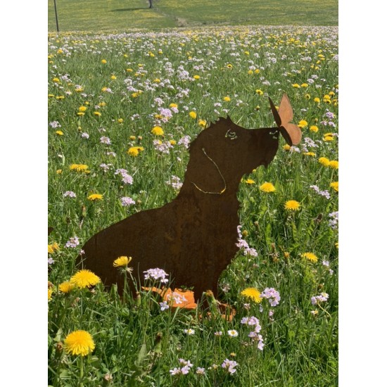 Deko Hunde Hundefigur Rauhaardackel - Toni - mit Schmetterling auf der Nase - sitzend - Höhe 45 cm 
Höhe 45 cm
Breit 55 cm
