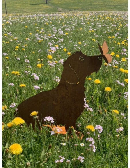 Deko Hunde Hundefigur Rauhaardackel - Toni - mit Schmetterling auf der Nase - sitzend - Höhe 45 cm 
Höhe 45 cm
Breit 55 cm
