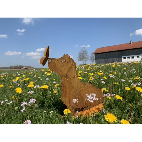 Deko Hunde Hundefigur Rauhaardackel - Toni - mit Schmetterling auf der Nase - sitzend - Höhe 45 cm 
Höhe 45 cm
Breit 55 cm
