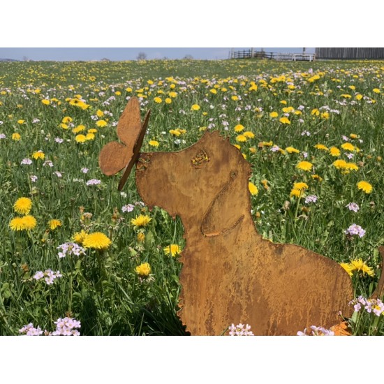 Deko Hunde Hundefigur Rauhaardackel - Toni - mit Schmetterling auf der Nase - sitzend - Höhe 45 cm 
Höhe 45 cm
Breit 55 cm
