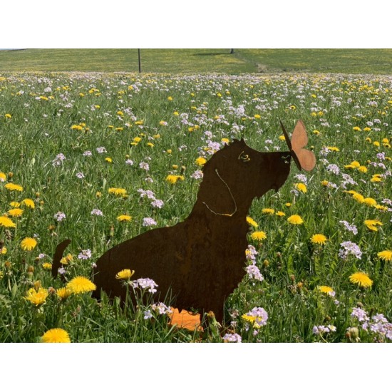 Deko Hunde Hundefigur Rauhaardackel - Toni - mit Schmetterling auf der Nase - sitzend - Höhe 45 cm 
Höhe 45 cm
Breit 55 cm
