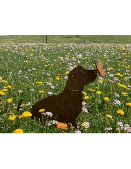 Deko Hunde Hundefigur Rauhaardackel - Toni - mit Schmetterling auf der Nase - sitzend - Höhe 45 cm 
Höhe 45 cm
Breit 55 cm
