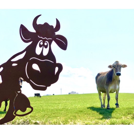 Allgäu Deko Lustige Deko Kuh - Lisl - 71 cm lang auf Platte - groß Edelrost Kuh Liselotte auf Platte
Unsere Liselotte ist die f