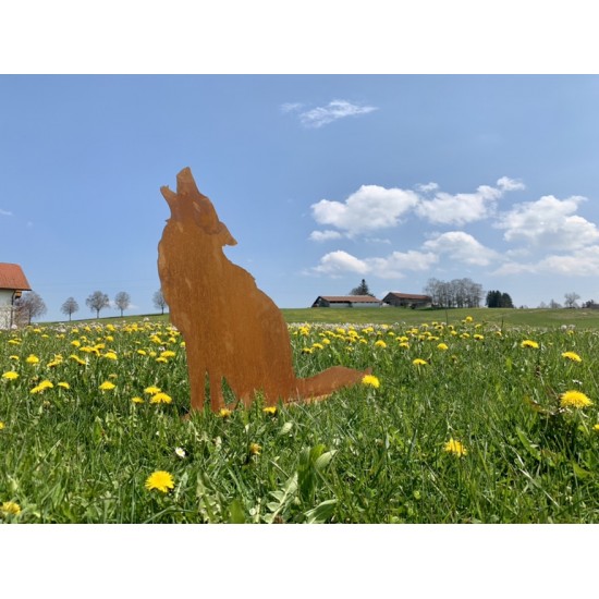Fuchs und Wolf heulender Wolf - Gartenfigur Höhe 72 cm 
Dieser Deko Wolf aus Metall mit Edelrost Patina ist als heulender Wolf 