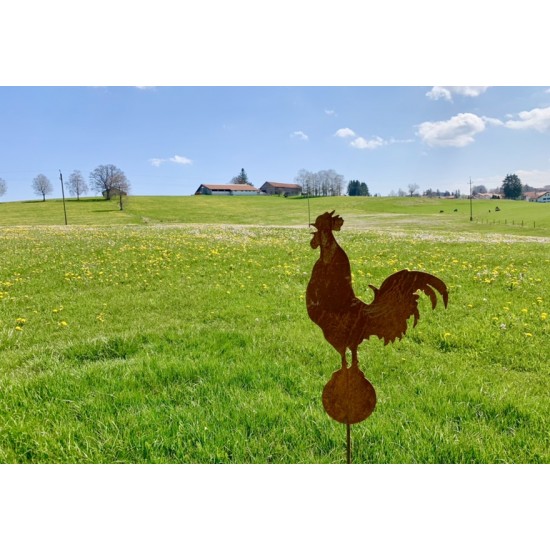 Hühner, Gockel und Küken Gartenstecker krähender Hahn auf Kugel - Gesamthöhe 128 cm 
Höhe Hahn mit Kugel 48 cm
Höhe Stab 80 cm