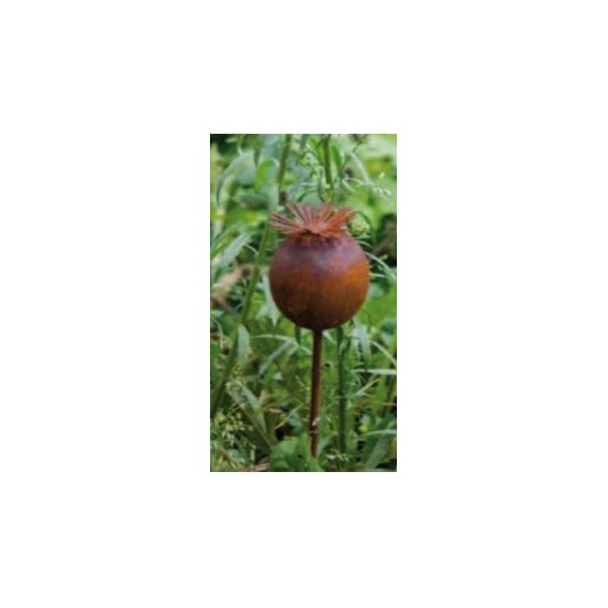Start Mohnkapsel Stecker Gartendeko Rost Höhe 6,5 cm
Breite 6,5 cm
Stangen Höhe 40 cm