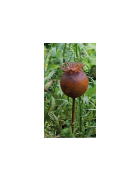 Start Mohnkapsel Stecker Gartendeko Rost Höhe 6,5 cm
Breite 6,5 cm
Stangen Höhe 40 cm