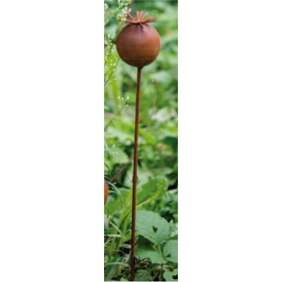Start Mohnkapsel Stecker Gratendeko Rost Höhe 60 cm 
Höhe 6,5 cm
Breite 6,5 cm
Höhe 60 cm
