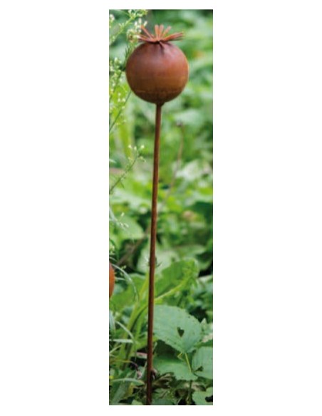 Start Mohnkapsel Stecker Gratendeko Rost Höhe 60 cm 
Höhe 6,5 cm
Breite 6,5 cm
Höhe 60 cm

