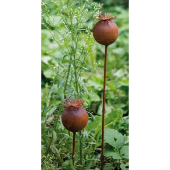 Start Mohnkapsel Stecker Gratendeko Rost Höhe 60 cm 
Höhe 6,5 cm
Breite 6,5 cm
Höhe 60 cm
