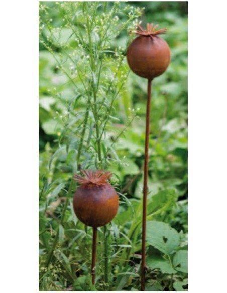 Start Mohnkapsel Stecker Gratendeko Rost Höhe 60 cm 
Höhe 6,5 cm
Breite 6,5 cm
Höhe 60 cm
