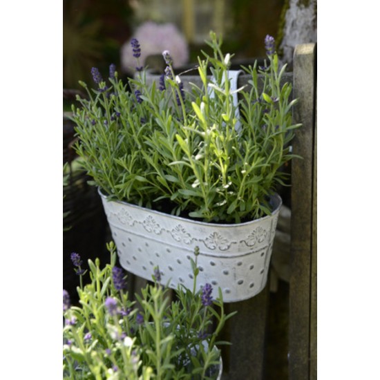 Pflanzgefäße + Schalen + Kronen 2er Set Deko Blumenkasten Hängetopf weiß - Alisa - Länge 25 cm Niedliche Blumenkasten im Shabby 