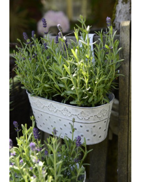 Pflanzgefäße + Schalen + Kronen 2er Set Deko Blumenkasten Hängetopf weiß - Alisa - Länge 25 cm Niedliche Blumenkasten im Shabby 