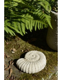 Gartendeko Ammonit - Sand - Höhe 10 cm Gartendeko 
Höhe 10 cm
Breite 8 cm
Tiefe 3 cm 2