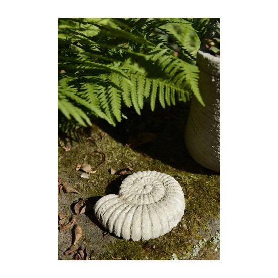 Gartendeko Ammonit - Sand - Höhe 10 cm Gartendeko 
Höhe 10 cm
Breite 8 cm
Tiefe 3 cm