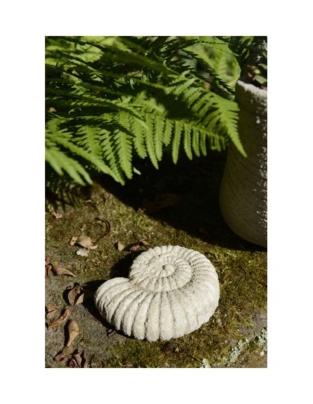 Gartendeko Ammonit - Sand - Höhe 10 cm Gartendeko 
Höhe 10 cm
Breite 8 cm
Tiefe 3 cm