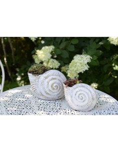 Gartendeko Muschel - Selma - Weiß kl. - Höhe 15 cm Gartendeko 
Höhe 15 cm
Breite 10 cm
Tiefe 10 cm
 2