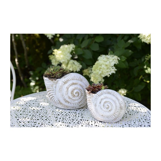 Gartendeko Muschel - Selma - Weiß kl. - Höhe 15 cm Gartendeko 
Höhe 15 cm
Breite 10 cm
Tiefe 10 cm
