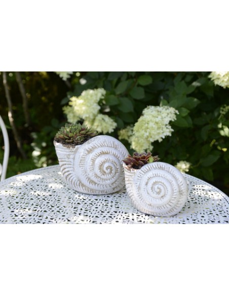 Gartendeko Muschel - Selma - Weiß kl. - Höhe 15 cm Gartendeko 
Höhe 15 cm
Breite 10 cm
Tiefe 10 cm
